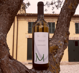 Wijn van Mencke Vini delle Marche